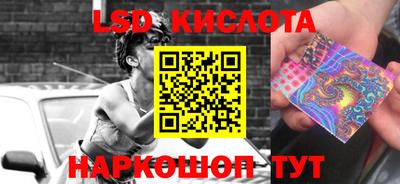 прущие грибы Бузулук