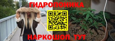 бутират Сланцы