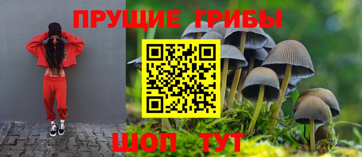 Валуйки  Галлюциногенные грибы Magic Shrooms  Вход с VPN  Псилоцибиновые грибы Psilocybine cubensis 